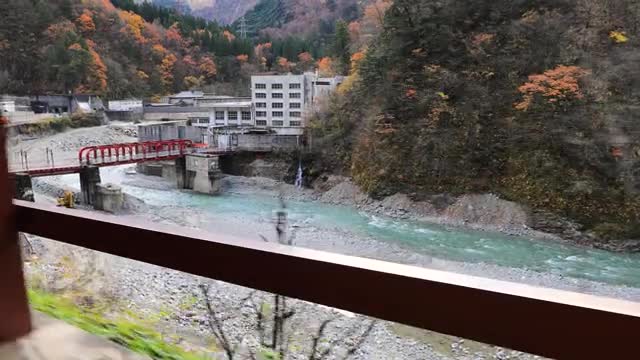 030 - Free Video Material Site｜videoAC