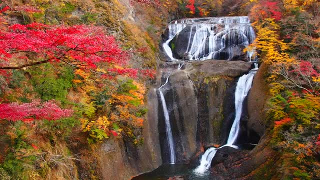 袋田の滝の真っ赤な紅葉の動画｜無料の動画素材サイト「動画AC」