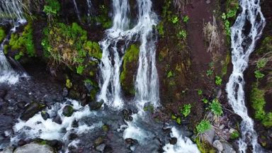 木の枝 シルエット イラストの無料ダウンロードサイト シルエットac