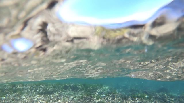 水中から浮上するイメージ 南国の海の動画|無料の動画素材サイト「動画AC」