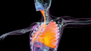 ゴミ収集車 シルエット イラストの無料ダウンロードサイト シルエットac