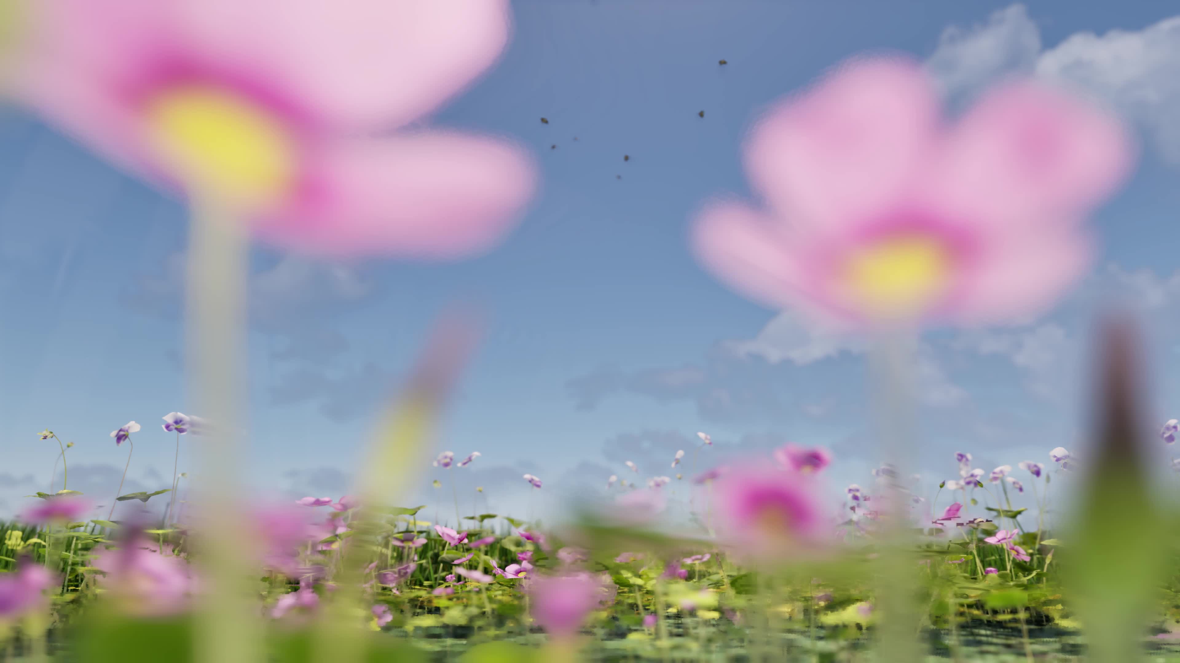 CG風景・花畑と青空の動画｜無料の動画素材サイト「動画AC」