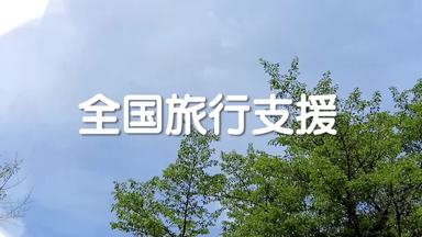 飛行機 シルエット イラストの無料ダウンロードサイト シルエットac