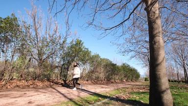 ランニング シルエット イラストの無料ダウンロードサイト シルエットac