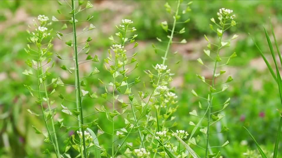 50660ebc_b386_4c96_ab57_48e65b