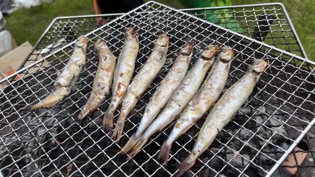 IMG 7487 - Free Video Material Site｜videoAC