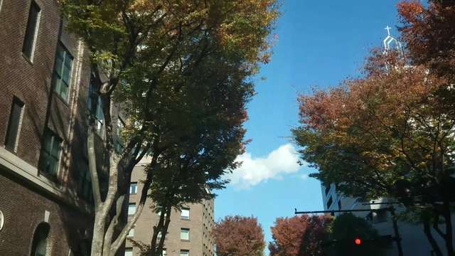 YouCut 20241205 122627204 - Free Video Material Site ...