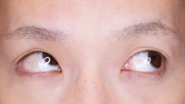 キョロキョロ見回す両目の動画｜無料の動画素材サイト「動画AC」