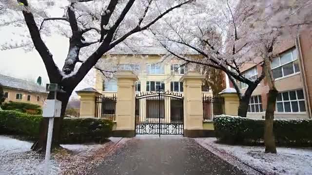 学校 学校の校門前 校舎の動画｜無料の動画素材サイト「動画AC」