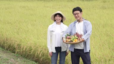 稲穂 シルエット イラストの無料ダウンロードサイト シルエットac