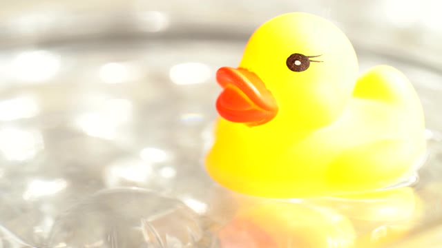 お風呂に浮かぶおもちゃのアヒルの動画｜無料の動画素材サイト