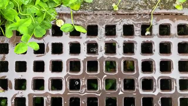 雨で側溝に流れる雨水の動画|無料の動画素材サイト「動画AC」