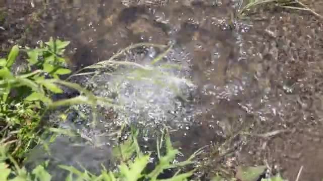 川 水が湧くの動画｜無料の動画素材サイト「動画AC」