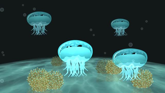海中を浮遊するクラゲの動画｜無料の動画素材サイト「動画AC」