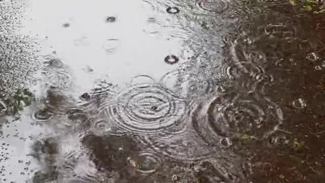 雨降りの様子、水溜りにできる雨の波紋の動画|無料の動画素材サイト「動画AC」