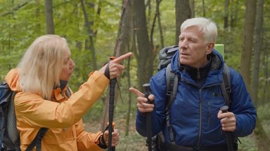 牛車 シルエット イラストの無料ダウンロードサイト シルエットac